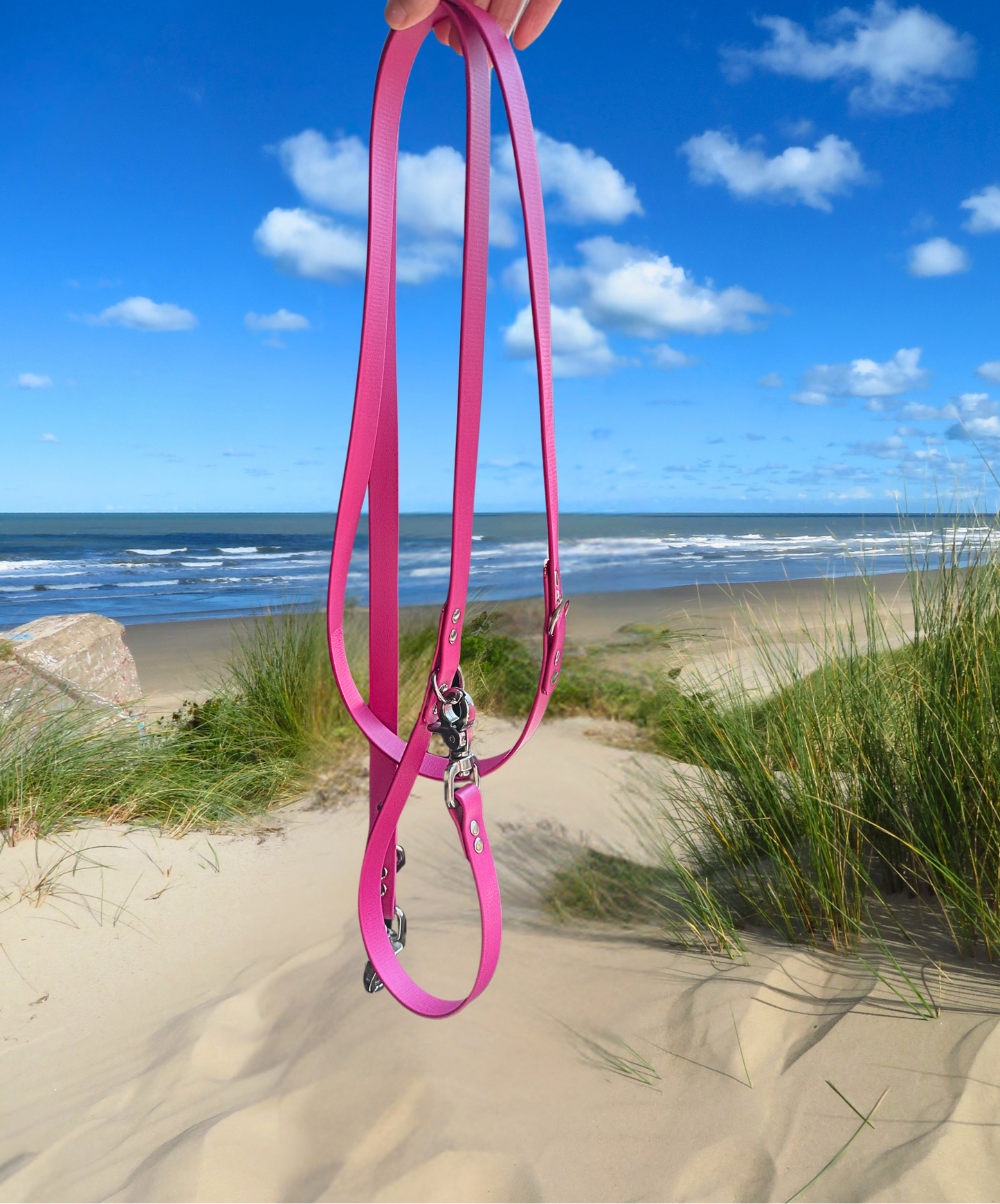 Laisse - Collection 2025 ☀️