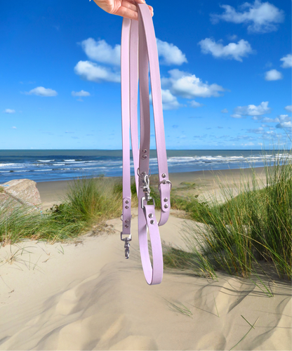 Laisse - Collection 2025 ☀️