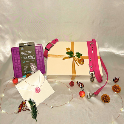 Coffret de Noël 🎁