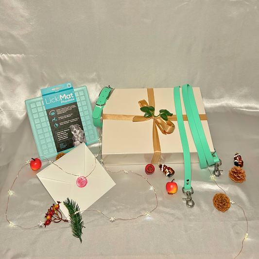 Coffret de Noël 🎁