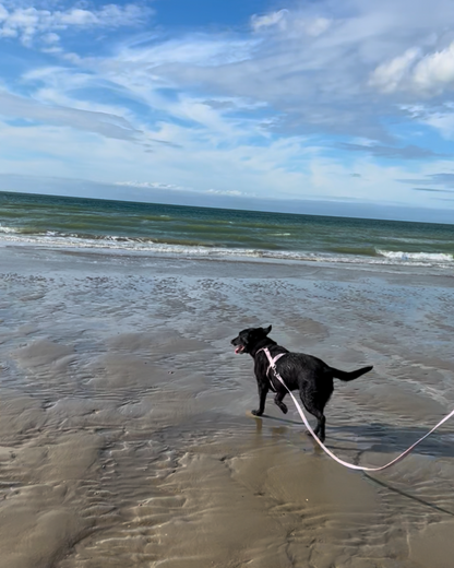 Longe 5m - Collection 2025☀️