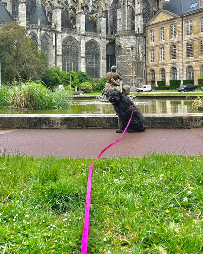 Longe 5m - Collection 2025☀️