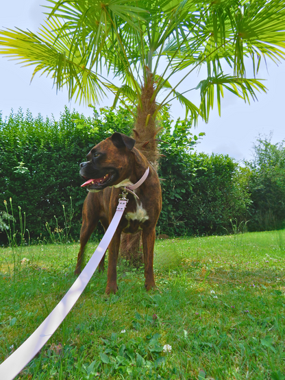 Collier - Collection 2025☀️