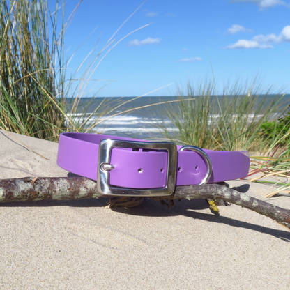 Collier - Collection 2025☀️