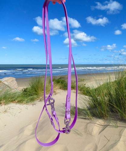 Laisse - Collection 2025 ☀️