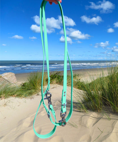 Laisse - Collection 2025 ☀️